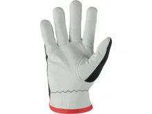 Rukavice CXS TECHNIK WINTER, zimné, kombinované (1)